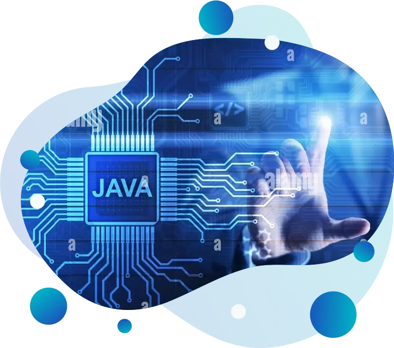 fulminous software Java Development Company