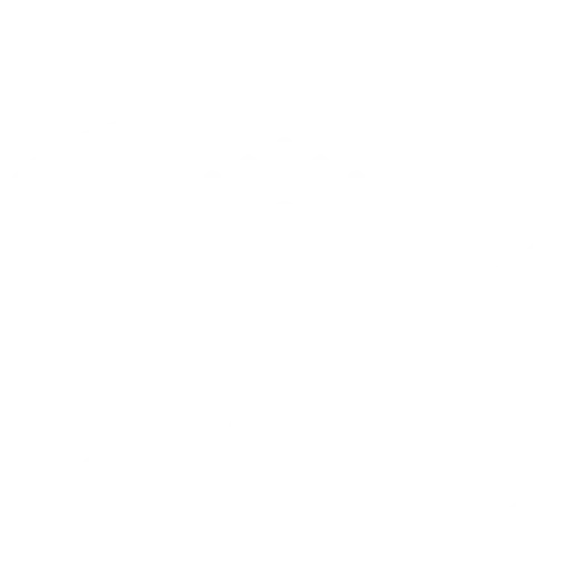 Augmented Reality