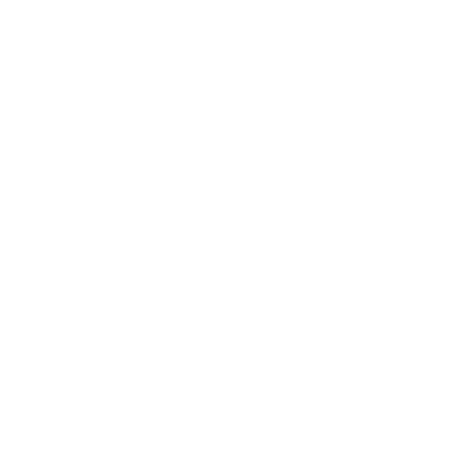 Automotive CRM