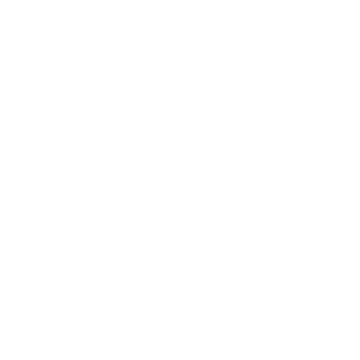 Automotive designs