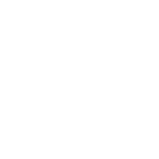 Biometric-Features