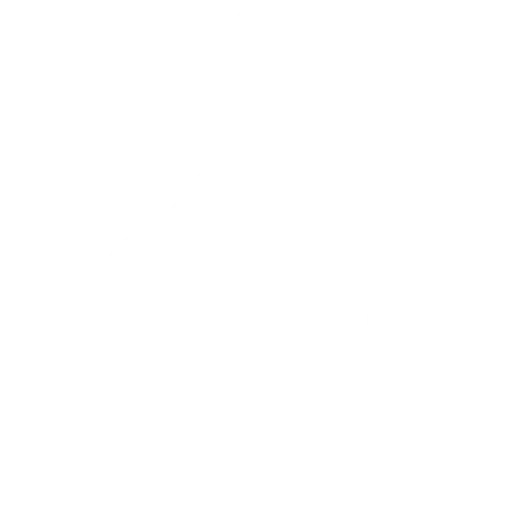 Fast-Launch