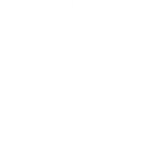 Global Talent Access