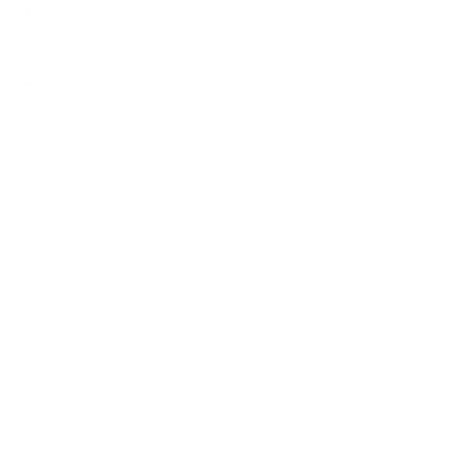 Government services