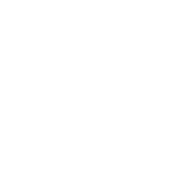 Loan Application
