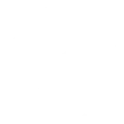 Personalized Marketing Automation