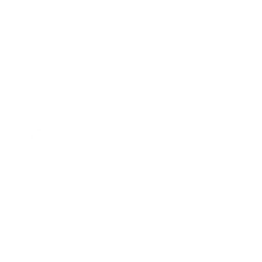 fulminous software Mobile-Access