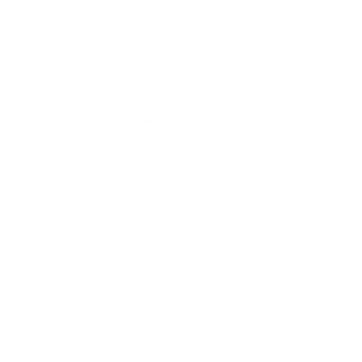 Enterprise-Mobility