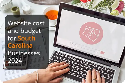 Website cost and budget for South Carolina