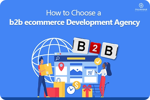 How to Choose a b2b ecommerce Development Agency