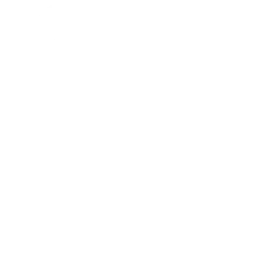 software-development-services